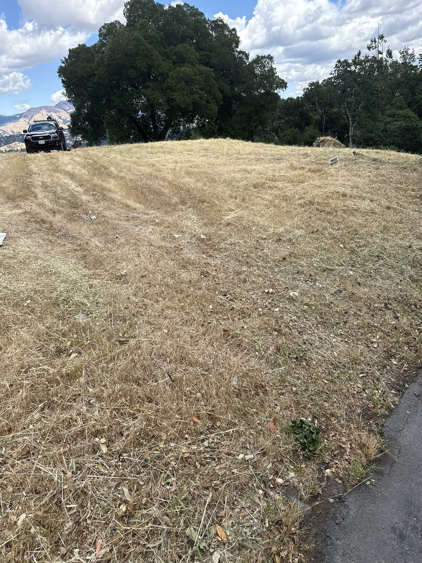 Effective Cleaning - Job Photo 74