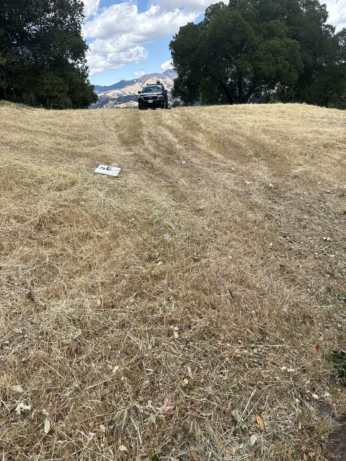 Effective Cleaning - Job Photo 75