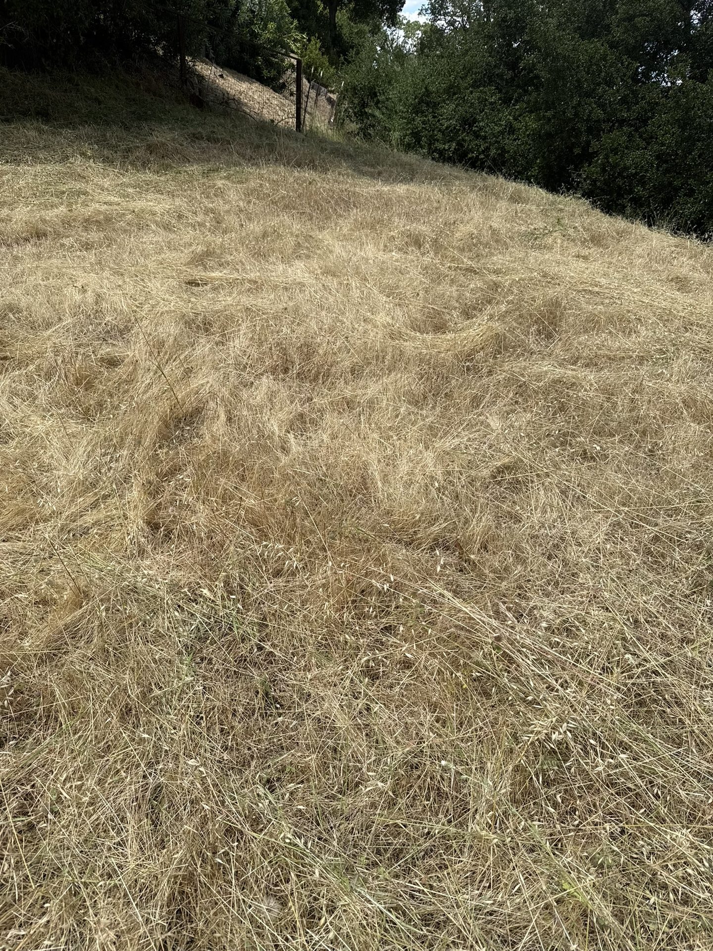 Effective Cleaning - Job Photo 76