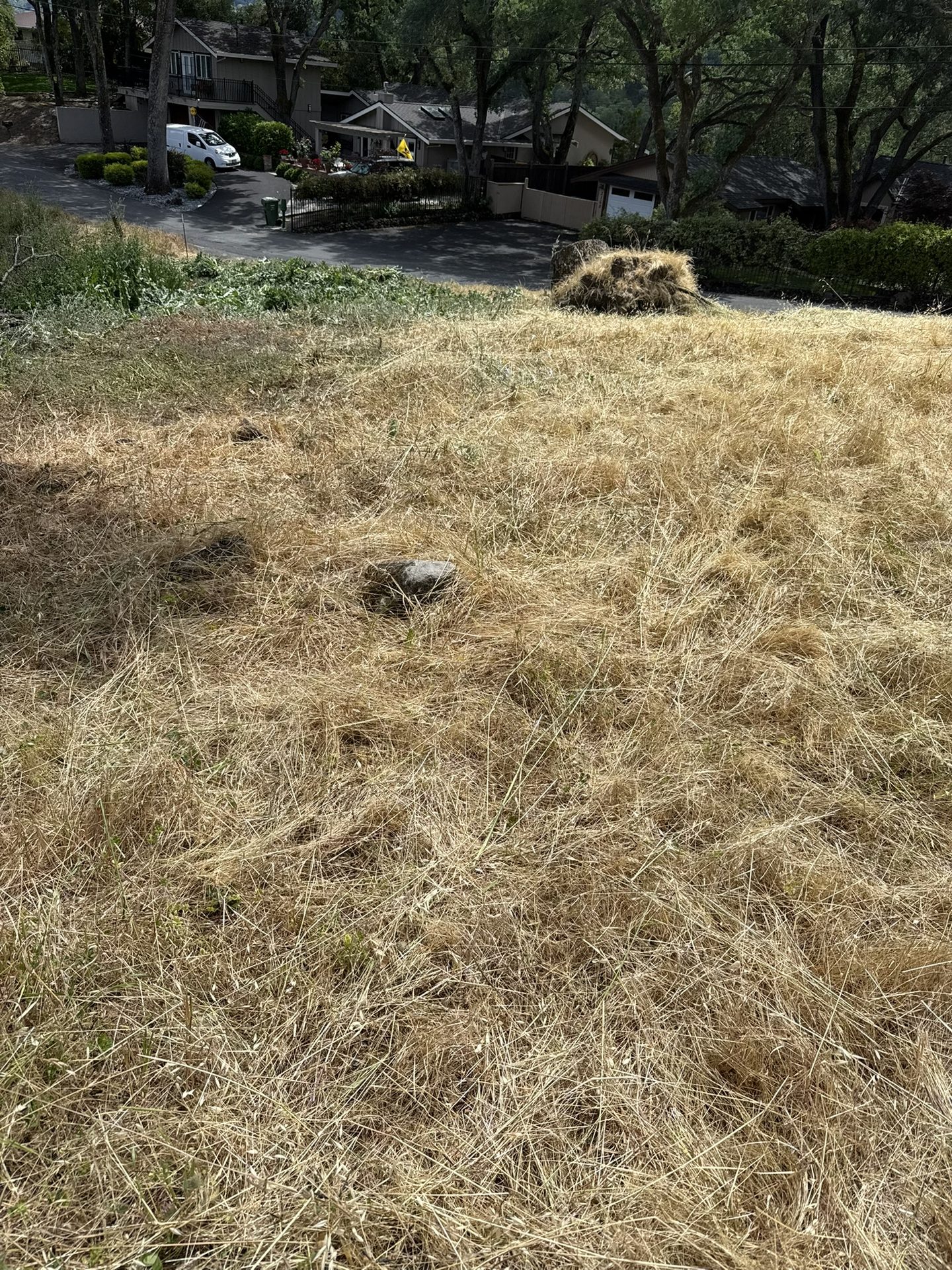 Effective Cleaning - Job Photo 77