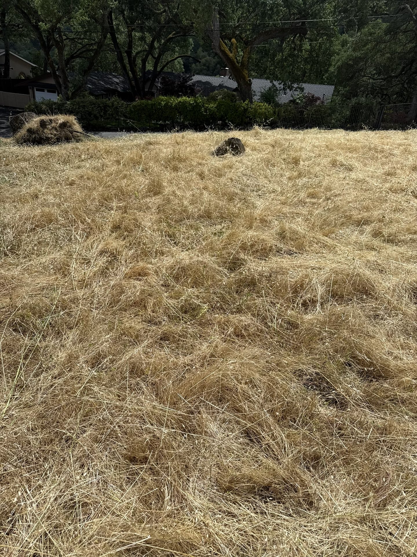 Effective Cleaning - Job Photo 78