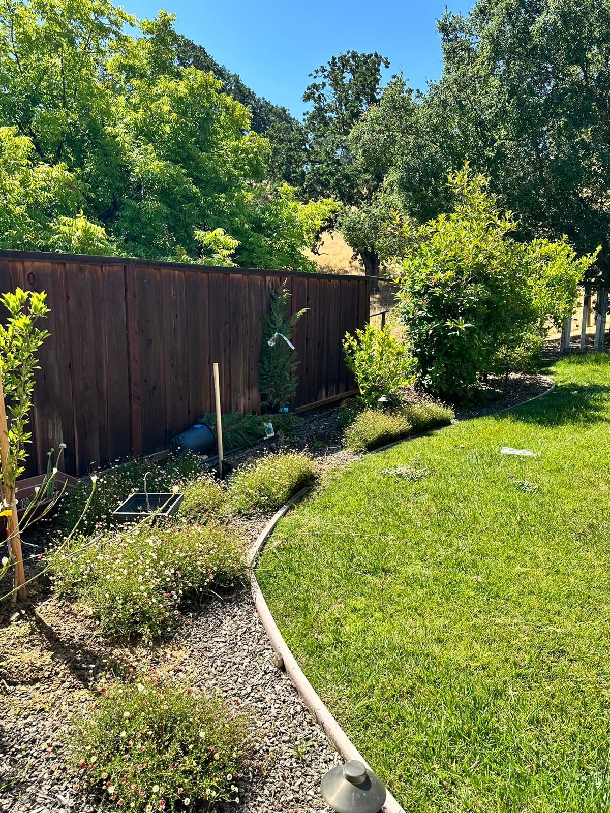 Effective Cleaning - Job Photo 80