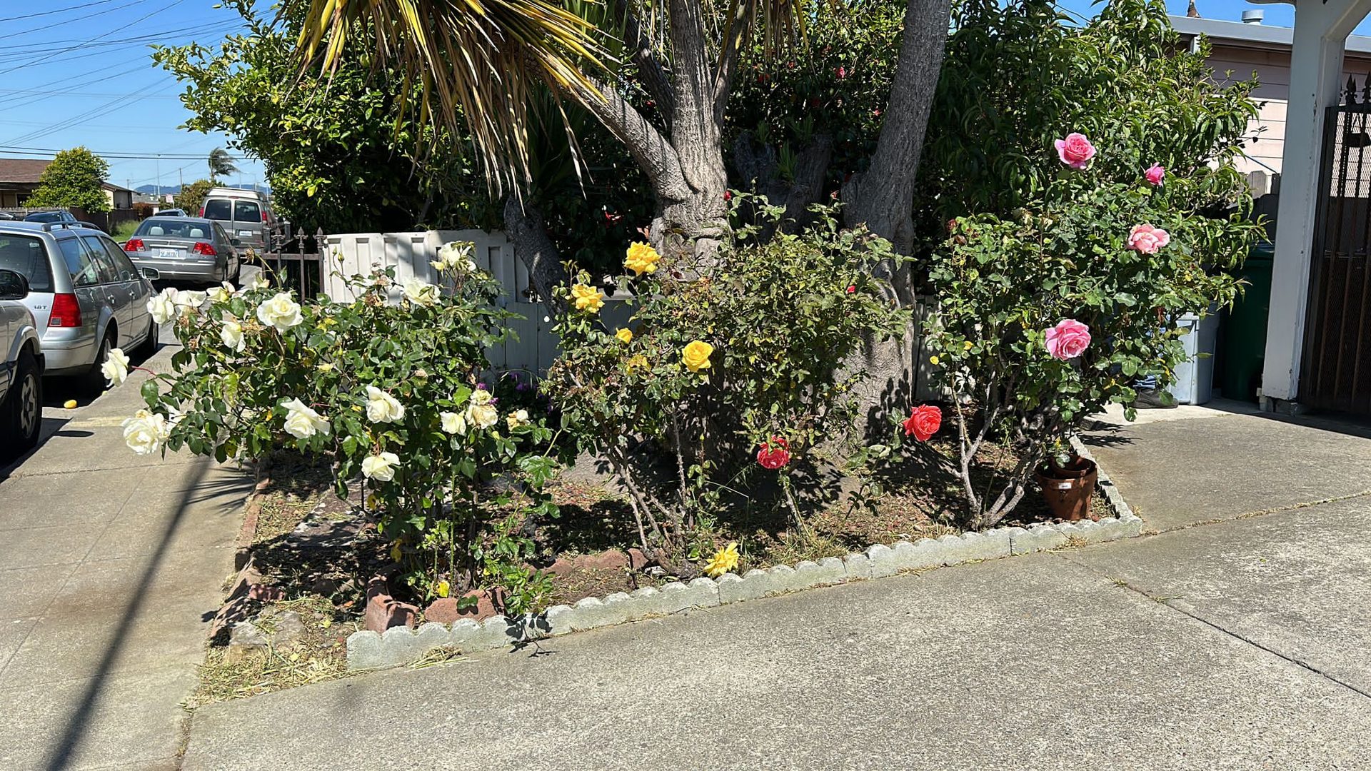 Effective Cleaning - Job Photo 81