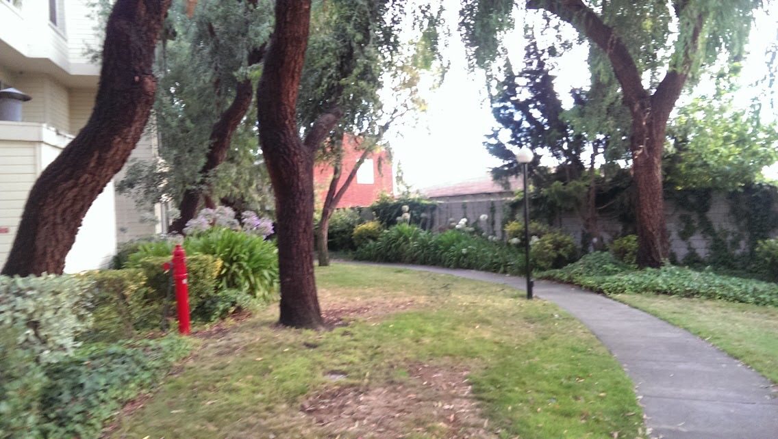 Effective Cleaning - Job Photo 89