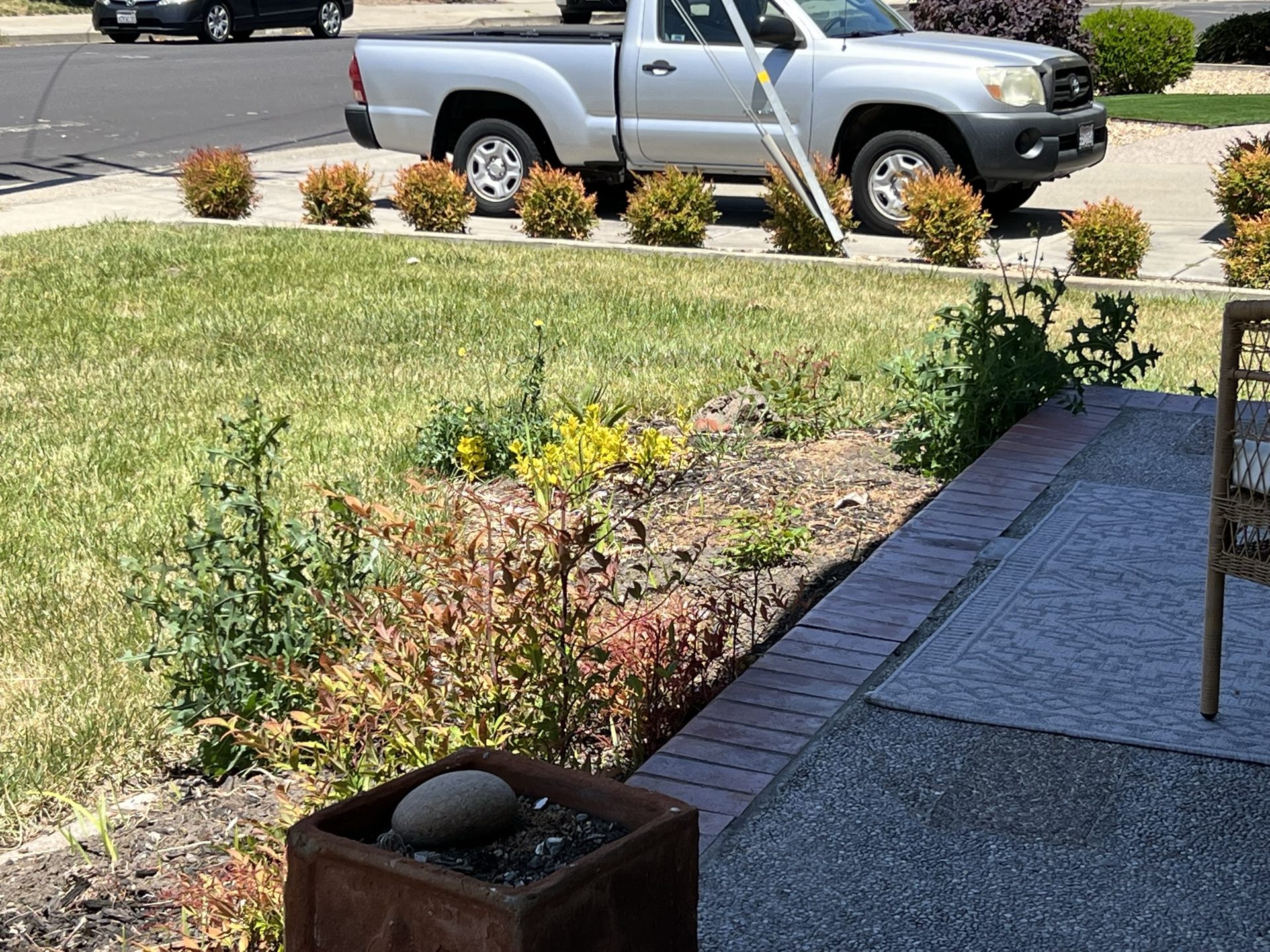 Effective Cleaning - Job Photo 92