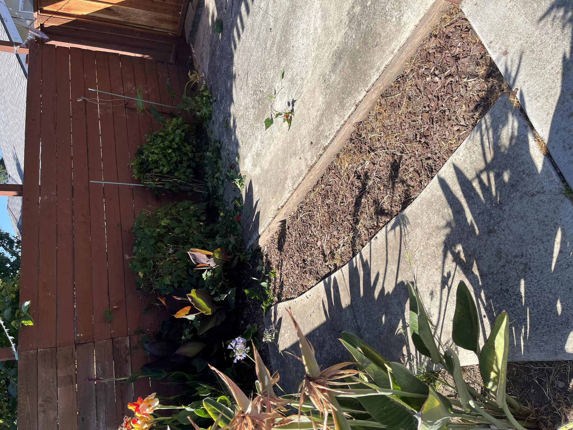 Effective Cleaning - Job Photo 93