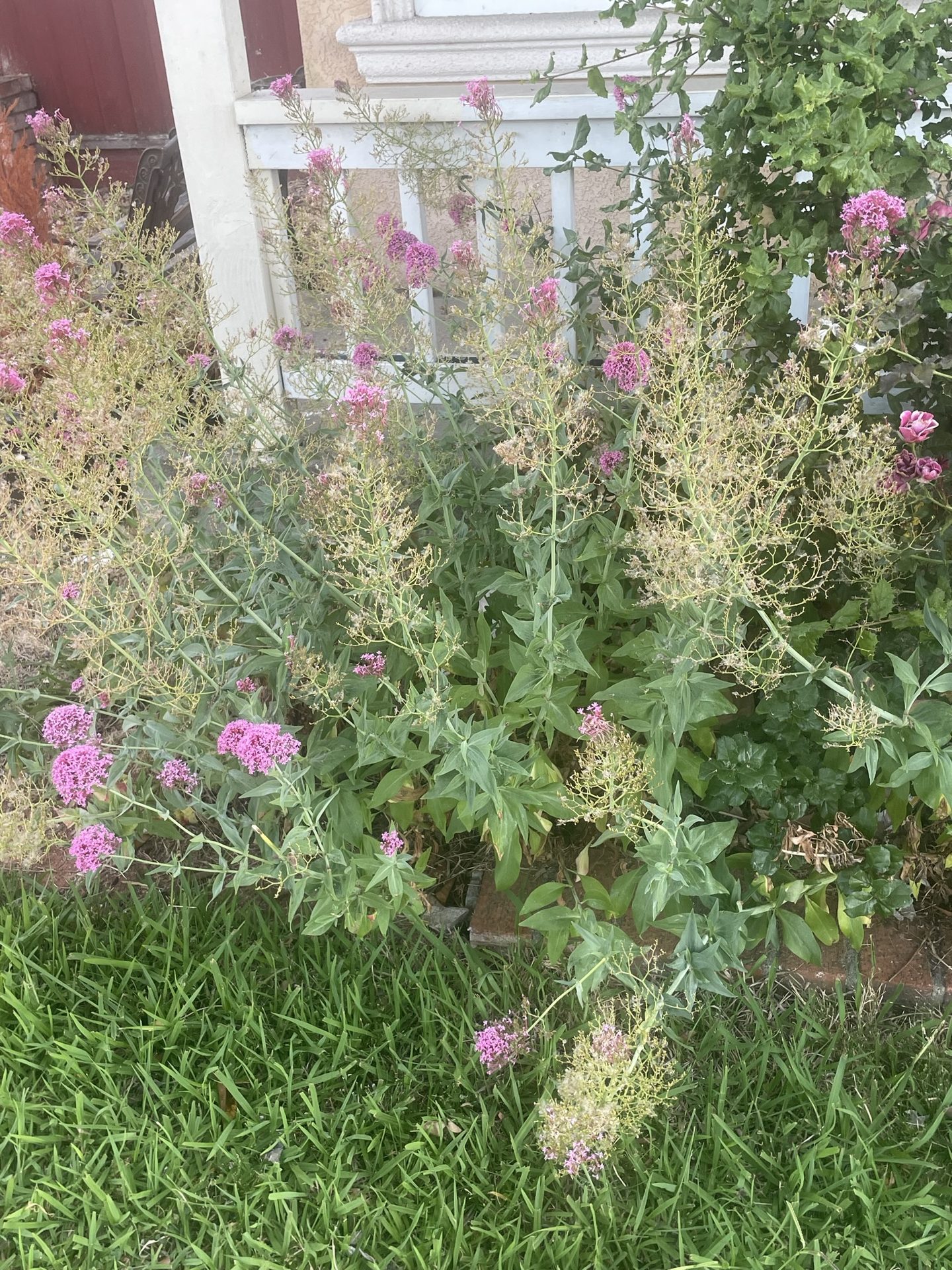 Effective Cleaning - Job Photo 94