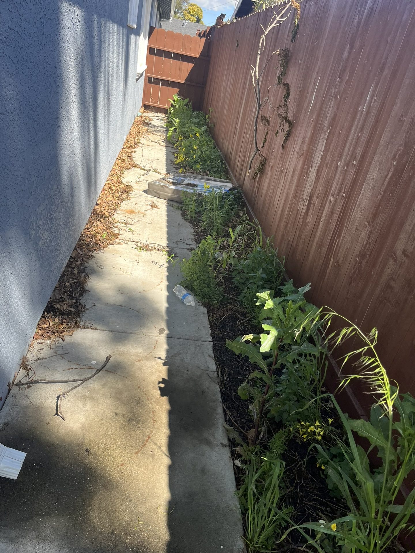 Effective Cleaning - Job Photo 97