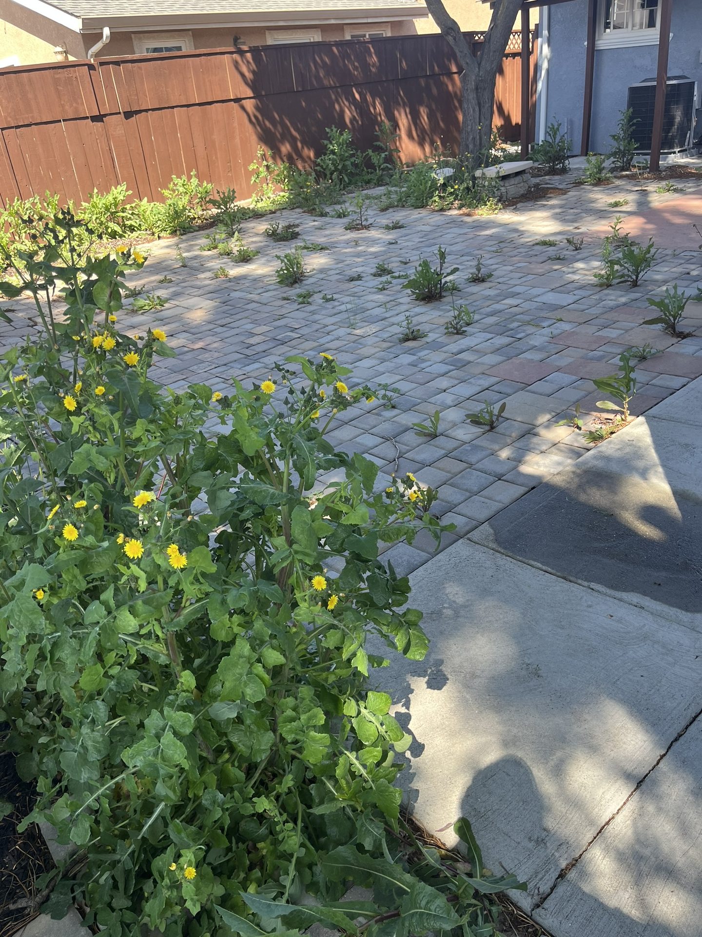 Effective Cleaning - Job Photo 98